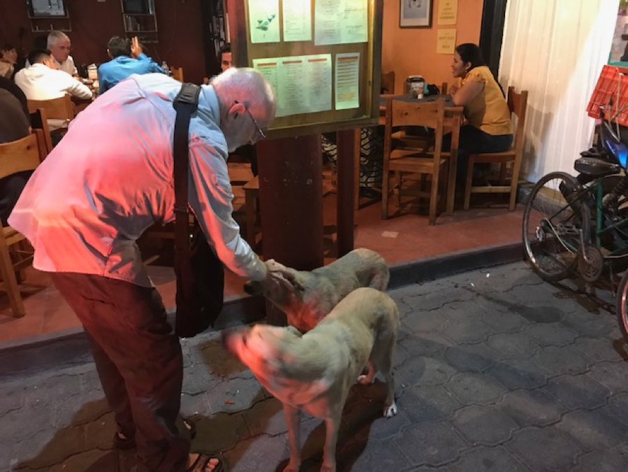 Mayer with street dogs