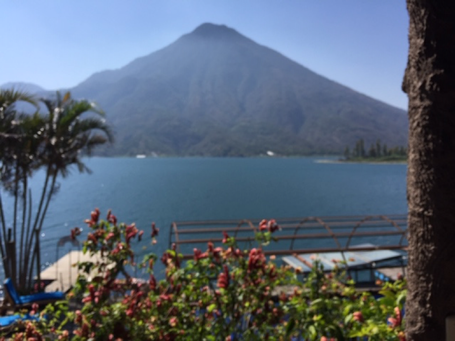 View from Palapa Restaurant